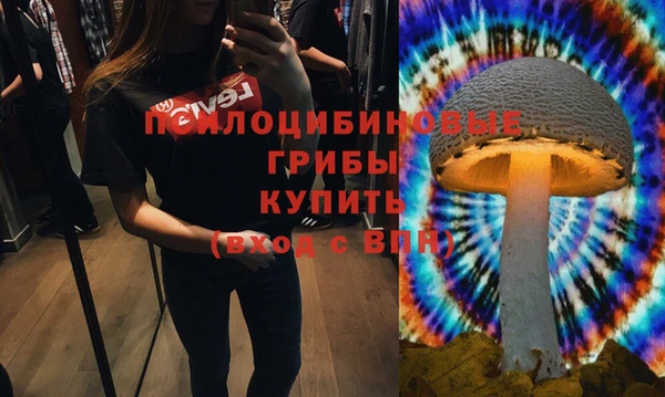 тгк Гусь-Хрустальный