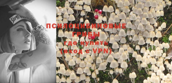тгк Гусь-Хрустальный