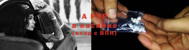 эйфоретик Гусев
