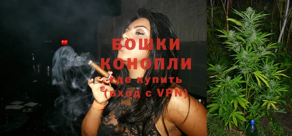 эйфоретик Гусев