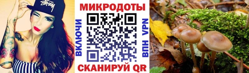 Псилоцибиновые грибы прущие грибы  Череповец 