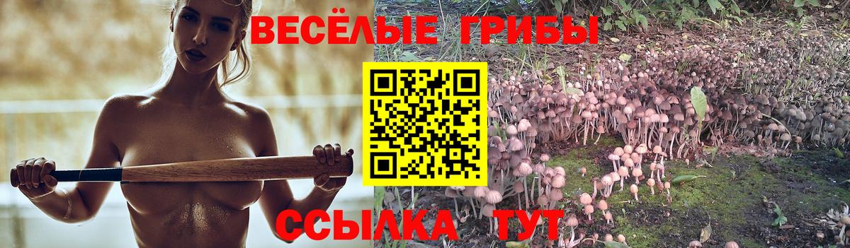 Псилоцибиновые грибы прущие грибы  Галлюциногенные грибы Psilocybine cubensis  Вход с VPN  Череповец 