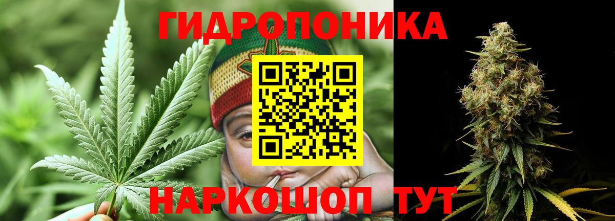 Конопля гибрид  Шишки марихуана конопля  Вход с VPN  Канабис сатива  Бошки марихуана MAZAR  Череповец 